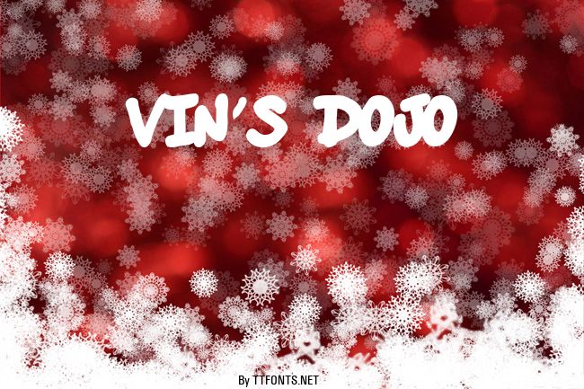 vin's dojo example